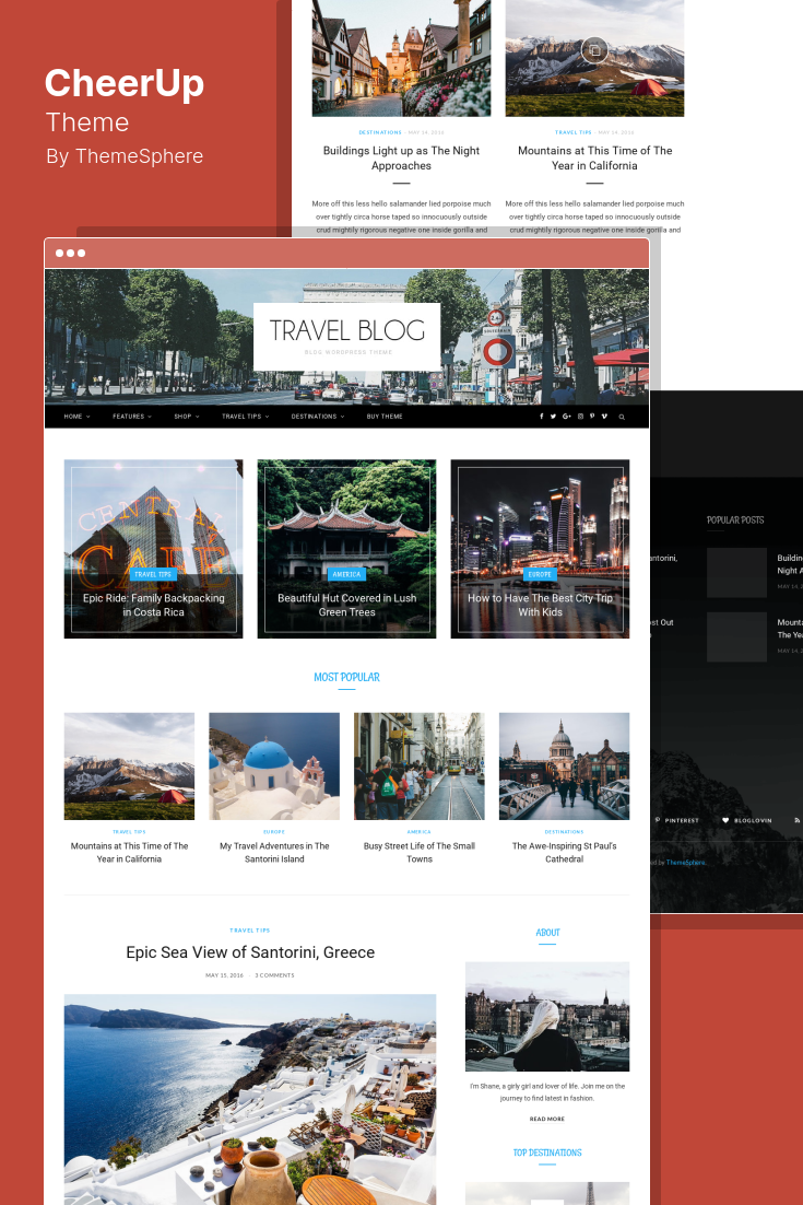 AMP Templates for WordPress: What to Look For