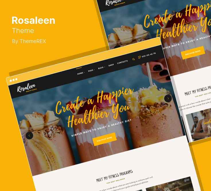 Choosing a Health Care Theme for WordPress