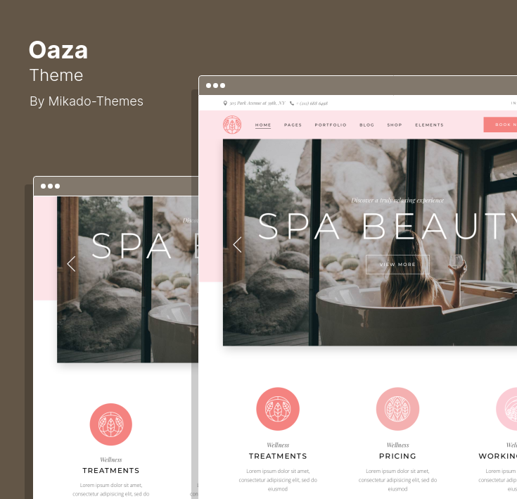 Choosing a Health Care Theme for WordPress