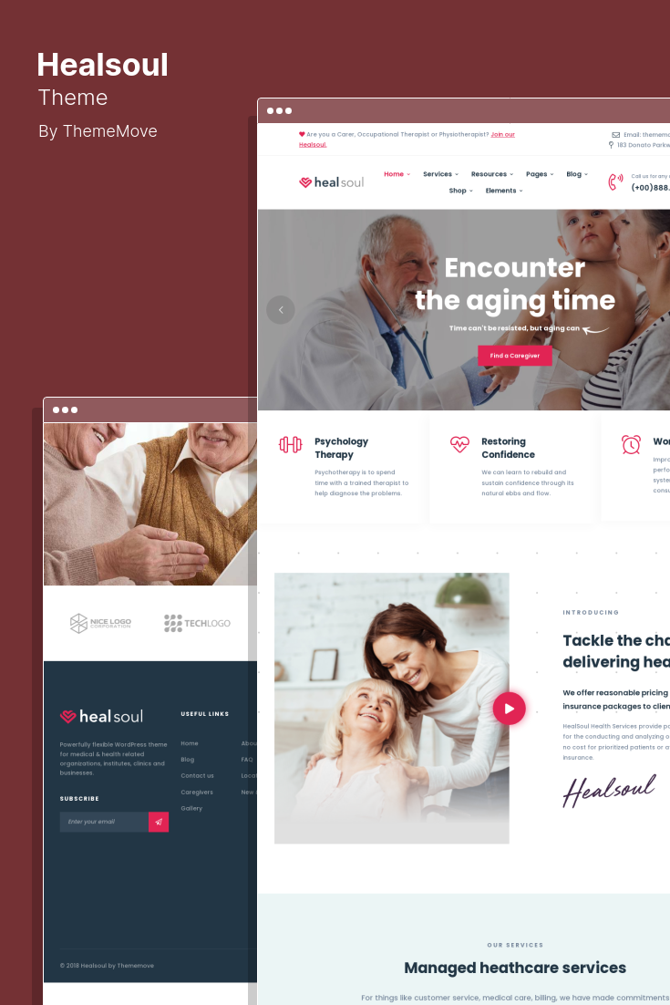 Choosing a Health Care Theme for WordPress