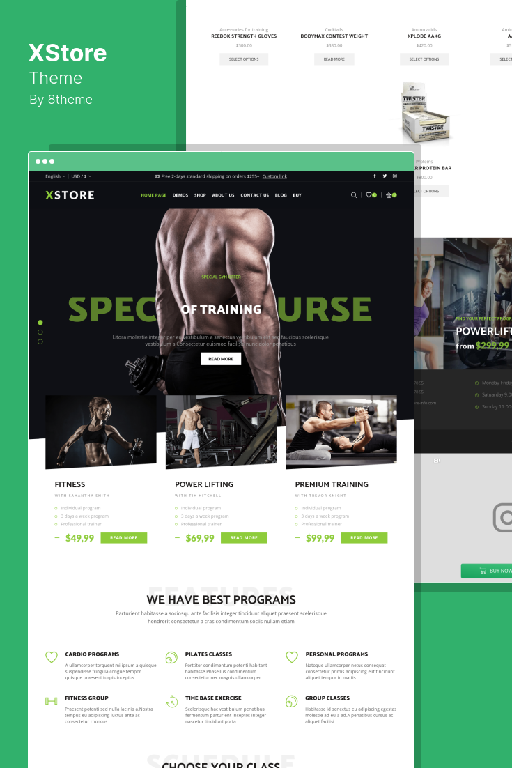 AMP Templates for WordPress: What to Look For