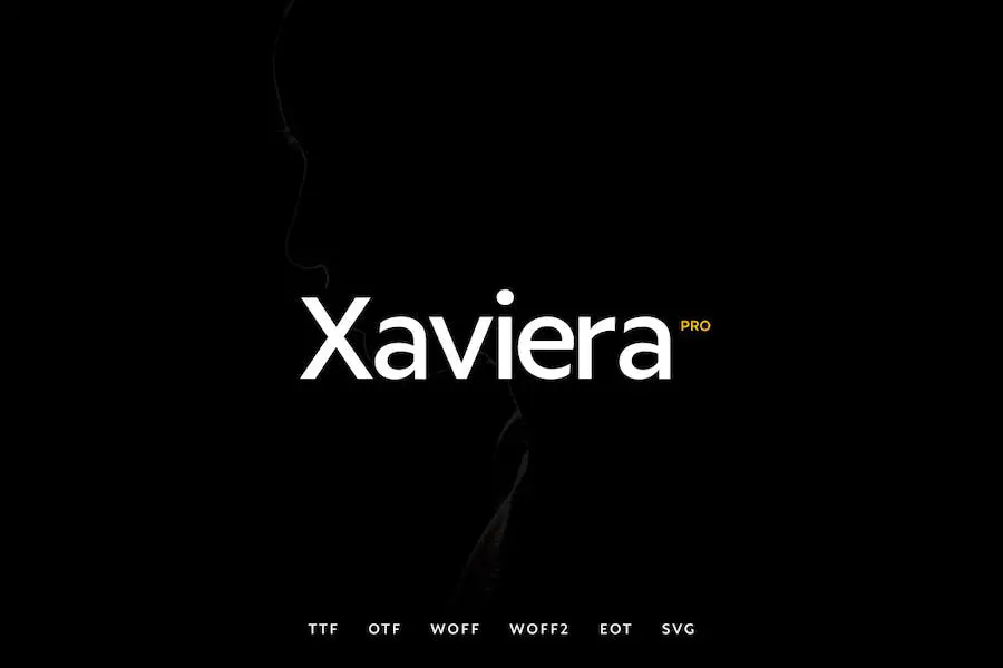 27 Best Business Card Fonts 🏆 2023 (Free & Premium)