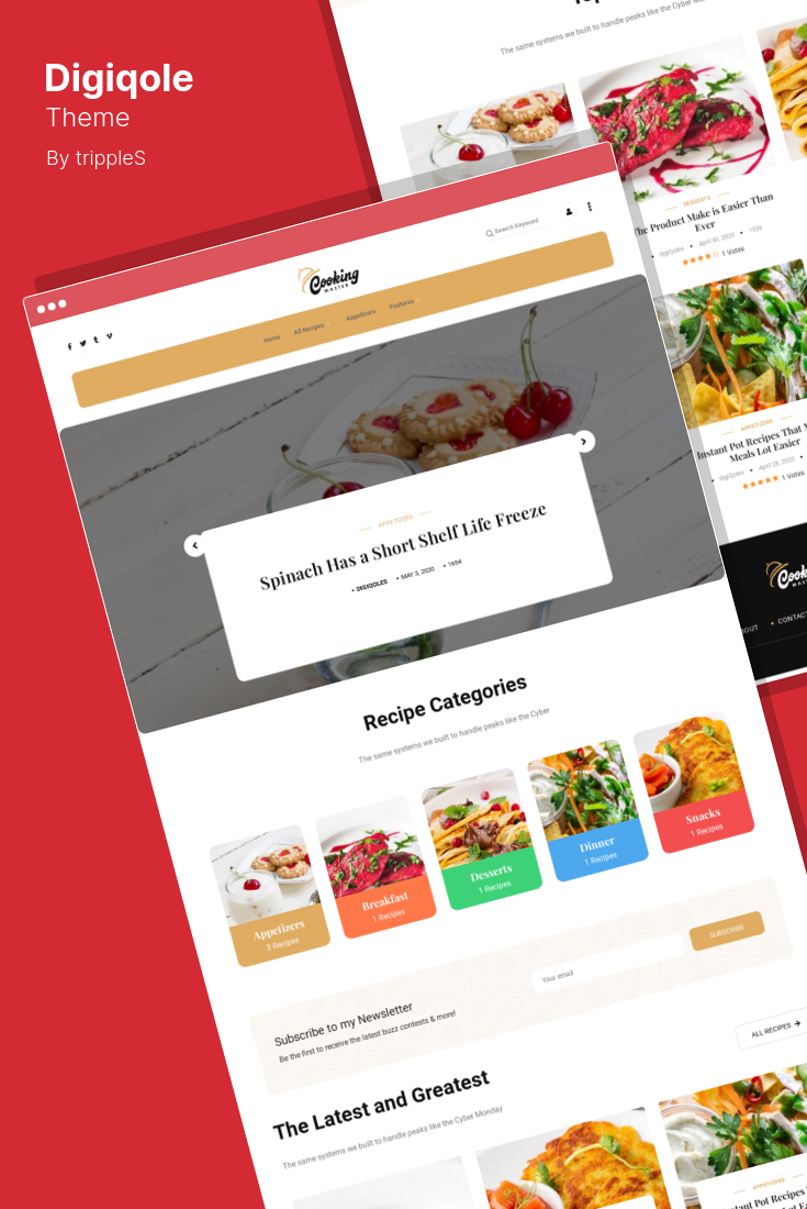 AMP Templates for WordPress: What to Look For