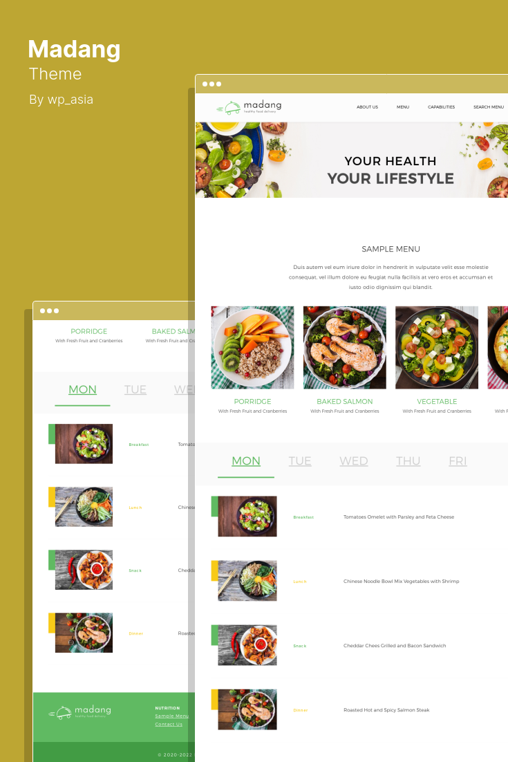 Choosing a Health Care Theme for WordPress