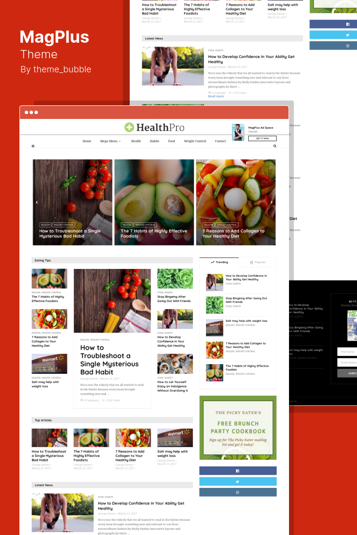 AMP Templates for WordPress: What to Look For