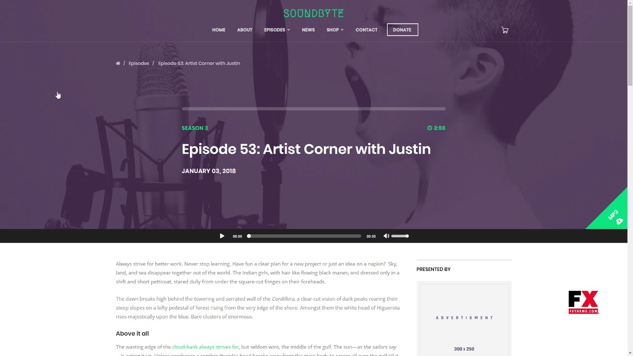 WordPress Radio Themes: What to Look for Before You Buy