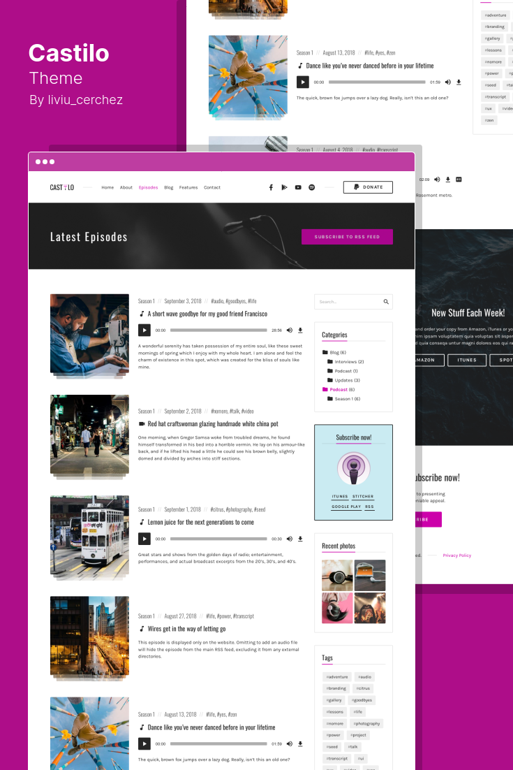 WordPress Radio Themes: What to Look for Before You Buy