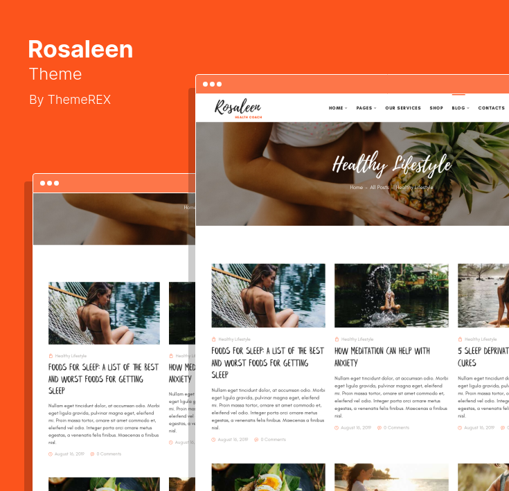 Choosing a Health Care Theme for WordPress