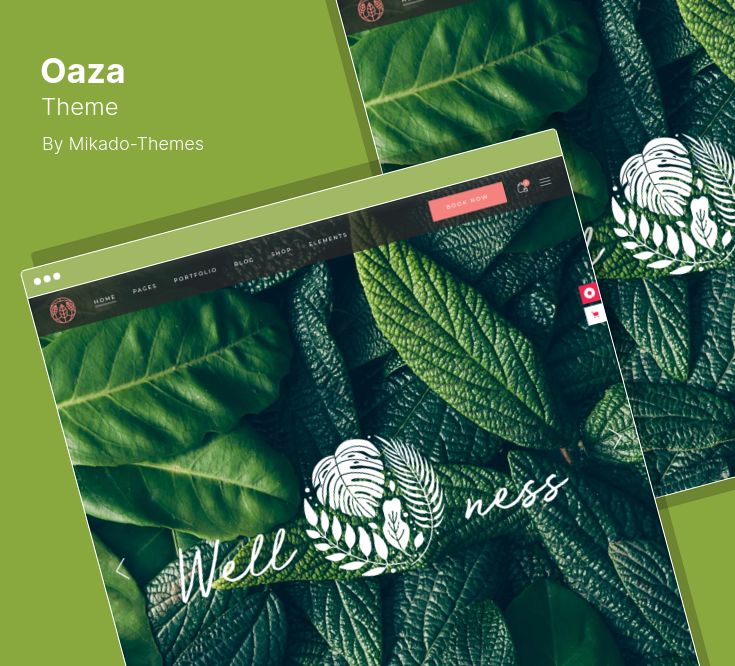 Choosing a Health Care Theme for WordPress