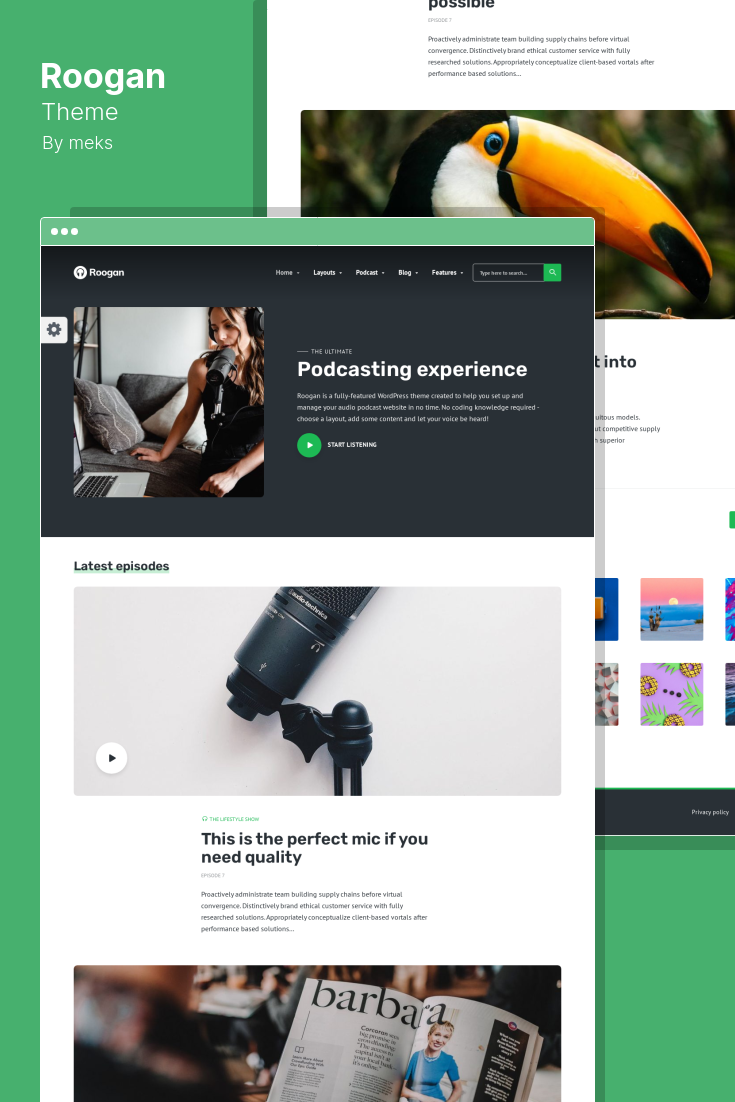 WordPress Radio Themes: What to Look for Before You Buy