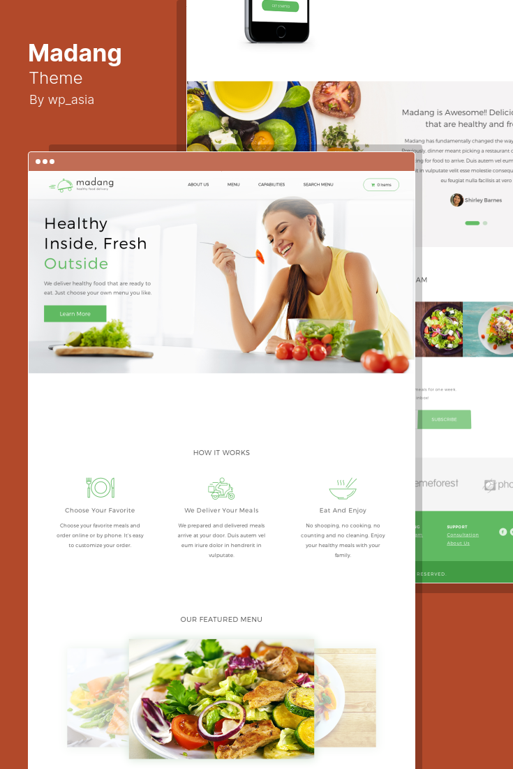 Choosing a Health Care Theme for WordPress