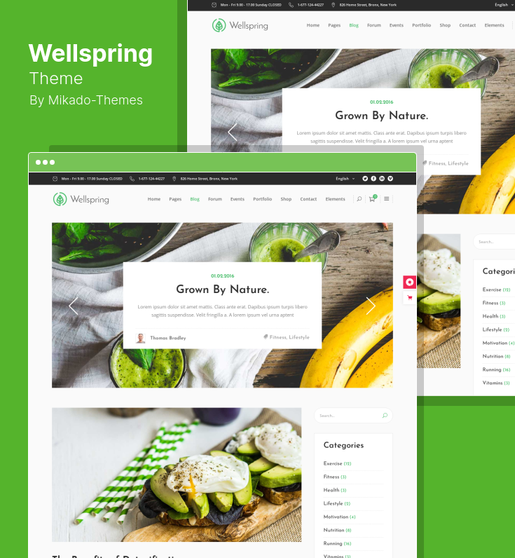 Choosing a Health Care Theme for WordPress
