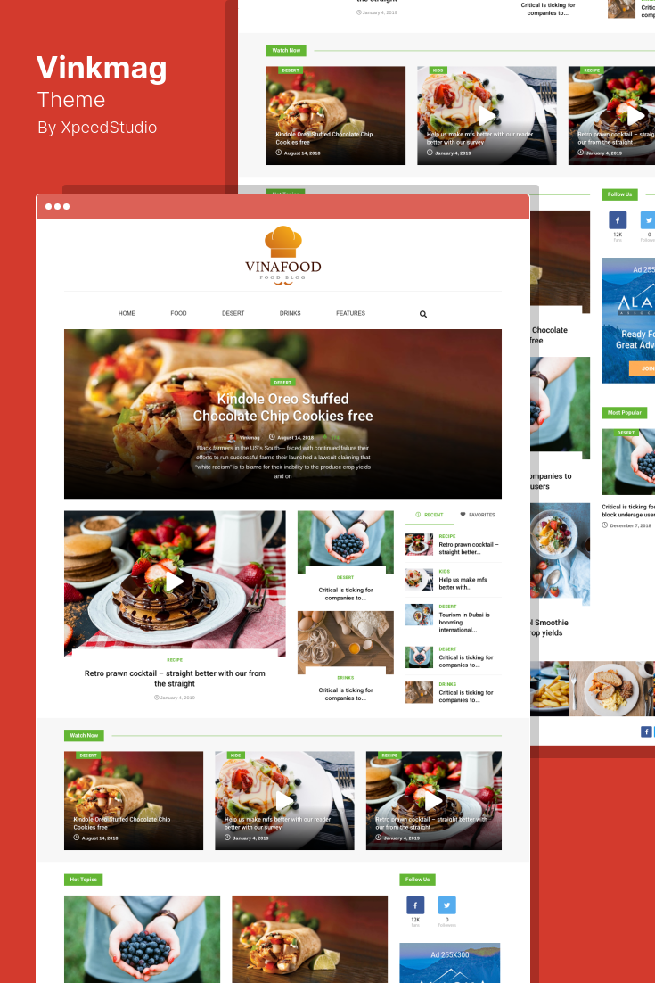 AMP Templates for WordPress: What to Look For