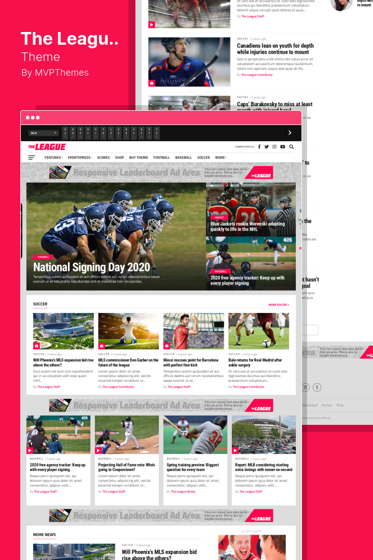 AMP Templates for WordPress: What to Look For
