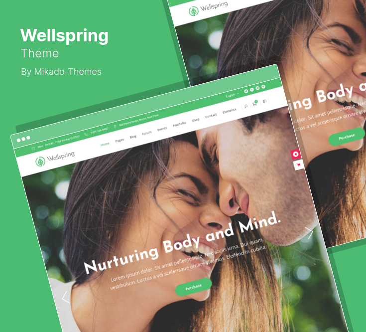 Choosing a Health Care Theme for WordPress