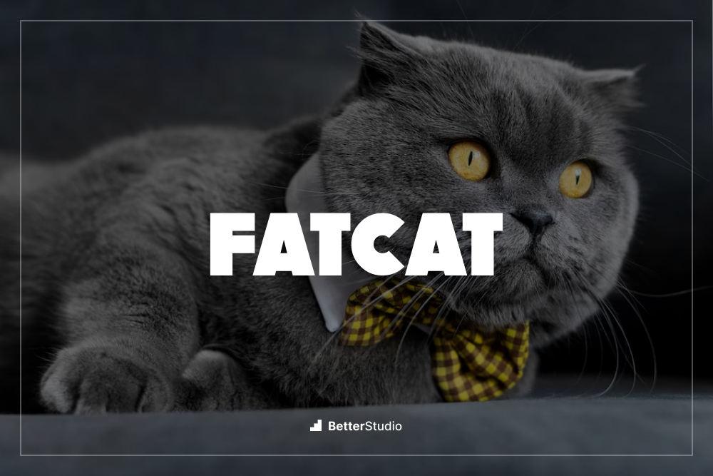 Fat Lettering Fonts: 12 Real Typefaces and How to Pick One