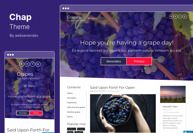 Chap Theme - Modern AMP Ready MultiPurpose WordPress Theme