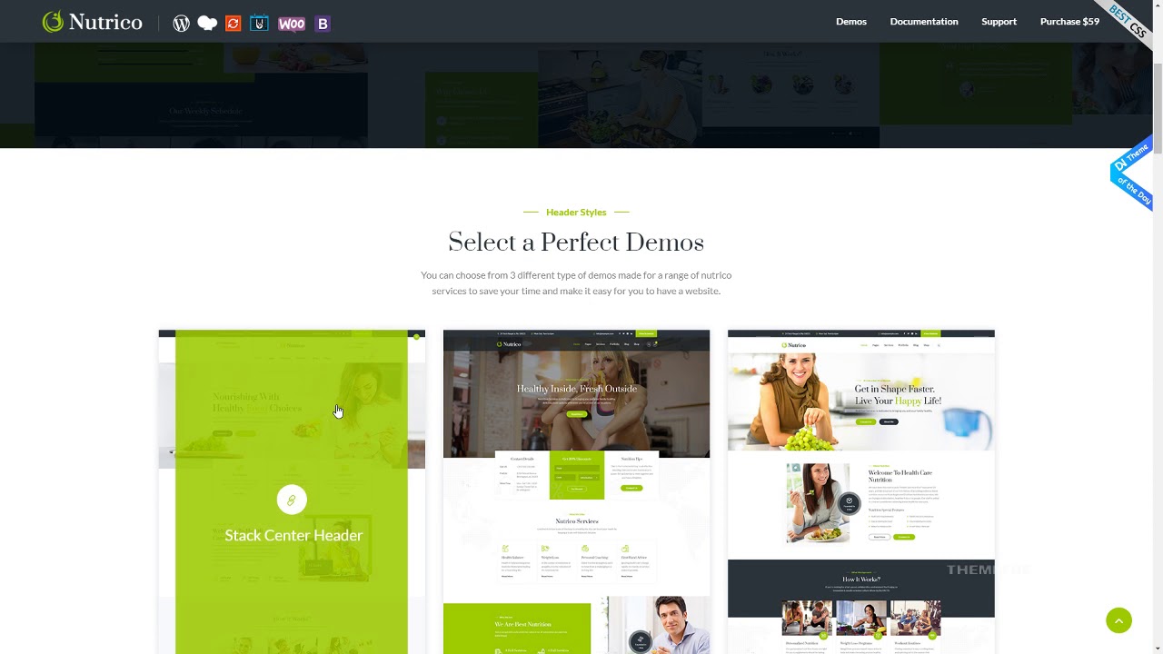 Choosing a Health Care Theme for WordPress