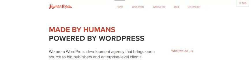 wordpress development companies in the usa