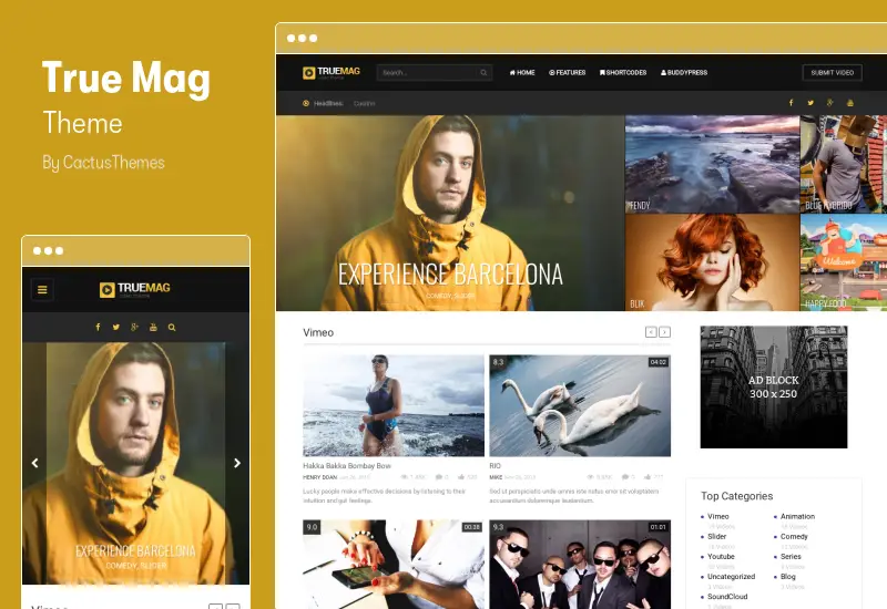 True Mag Theme - WordPress Theme for Video and Magazine