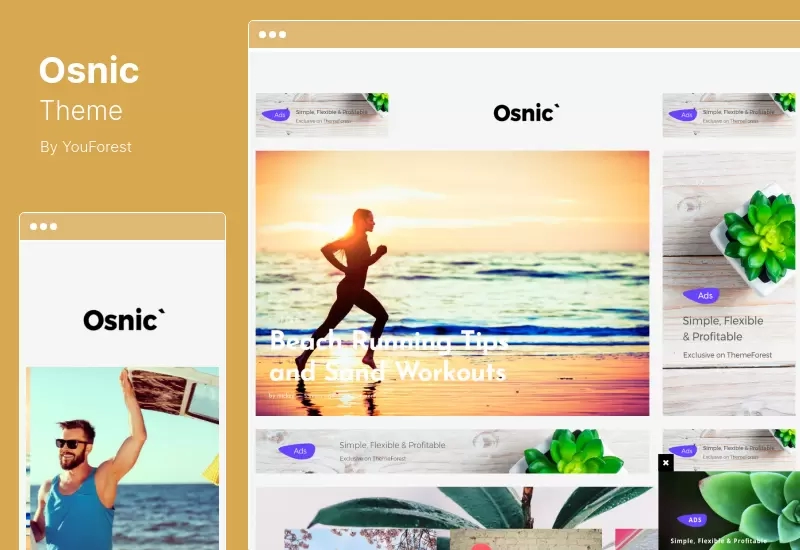 Osnic Theme - Premium Adsense Theme