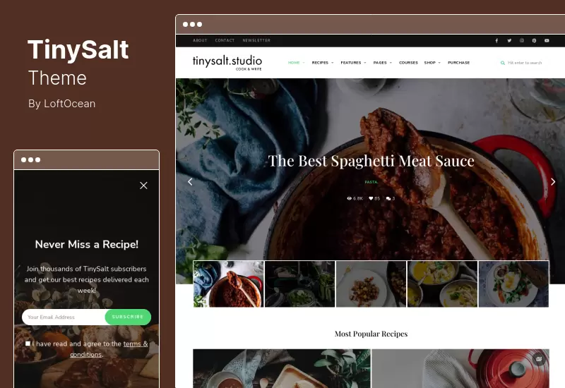 TinySalt Theme - Personal Food Blog WordPress Theme