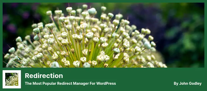 Redirection Plugin - The Most Popular Redirect Manager For WordPress