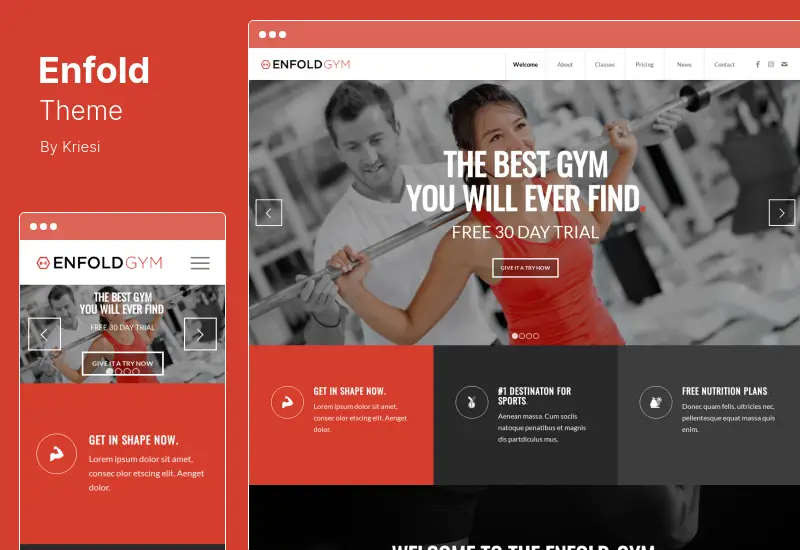 Enfold Theme - Responsive MultiPurpose WordPress Theme