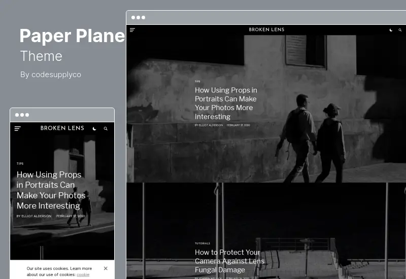 Paper Plane Theme - Modern WordPress Blog WordPress Theme