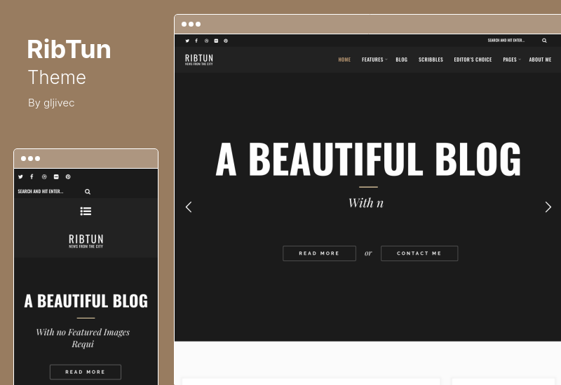 RibTun Theme - WordPress Blog Theme For Writers