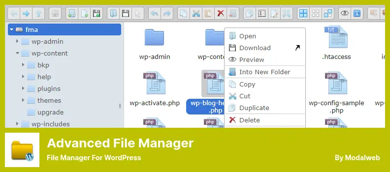 Advanced File Manager Plugin - File Manager for WordPress