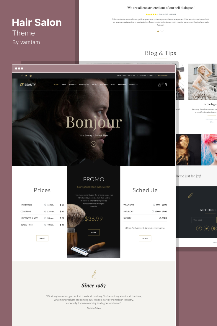 Download Free Spa and Salon Beauty and Wellness Related Businesses WordPress  Theme