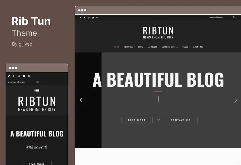 RibTun Theme - WordPress Blog Theme For Writers