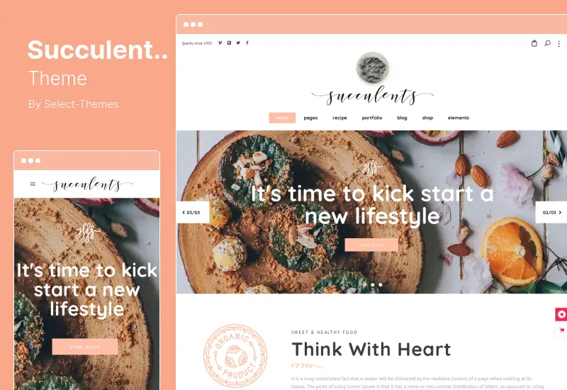 Succulents Theme - Healthy Lifestyle and Wellness WordPress Theme