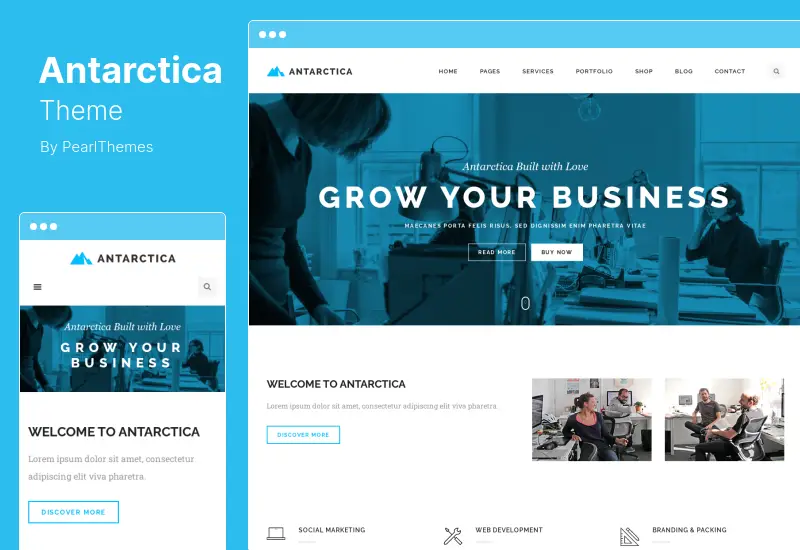 Antarctica Theme - Business Portfolio WordPress Theme
