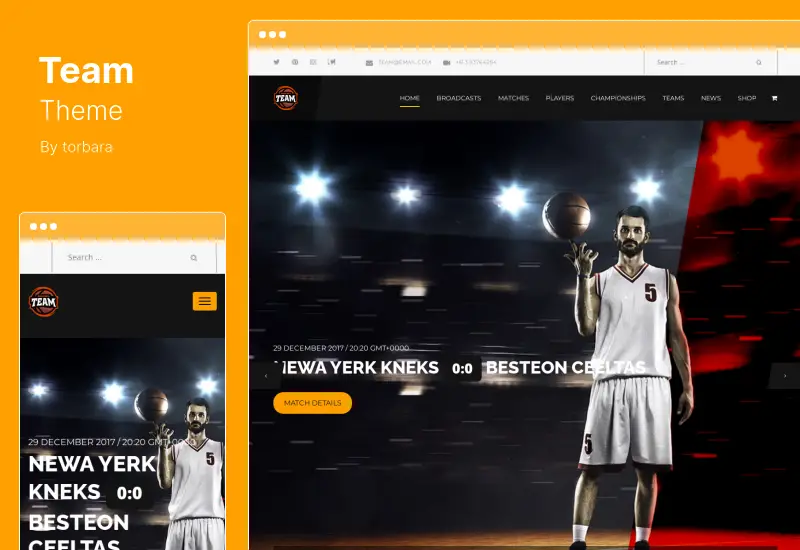 Team Theme - Soccer, Football, Hockey, Basketball Club & eSport Gaming WordPress Theme