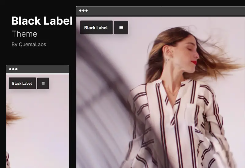 Black Label Theme - FullScreen Video & Image Background WordPress Theme