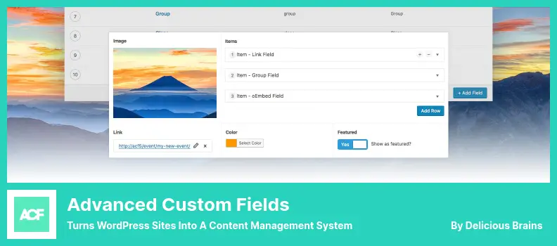 Advanced Custom Fields Plugin - Turns WordPress Sites Into a Content Management System