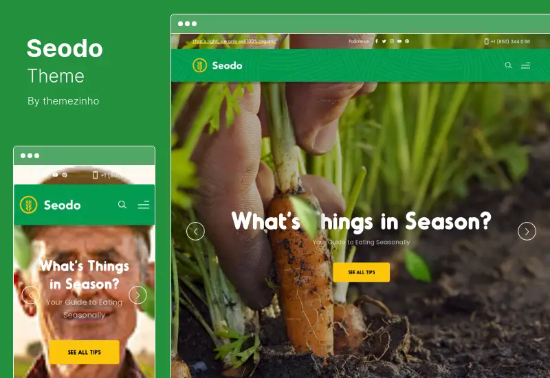 Seodo Theme - Agriculture Farming Foundation WordPress Theme