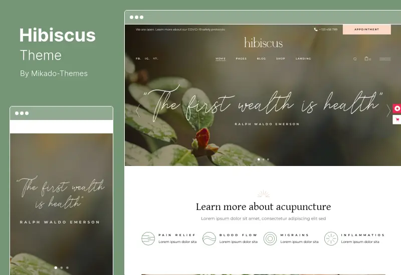 Hibiscus Theme - Alternative Medicine and Organic Shop WordPress Theme