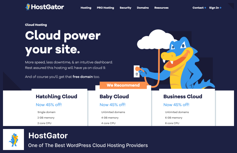 HostGator - a Ton of Website Hosting Options