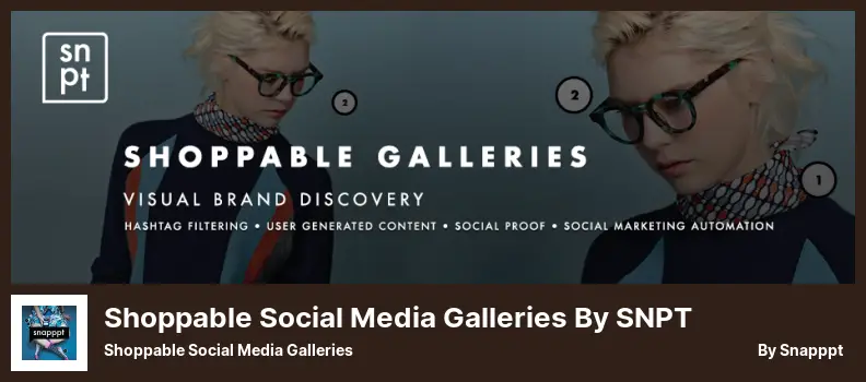 Shoppable Social Media Galleries by SNPT Plugin - Shoppable Social Media Galleries