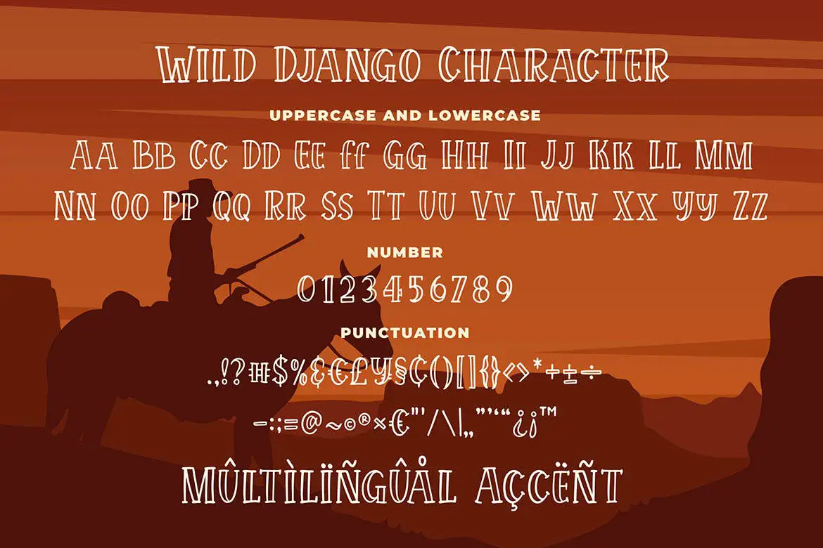 Wild Django - 