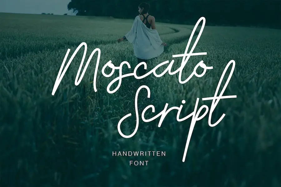 Moscato Script - 