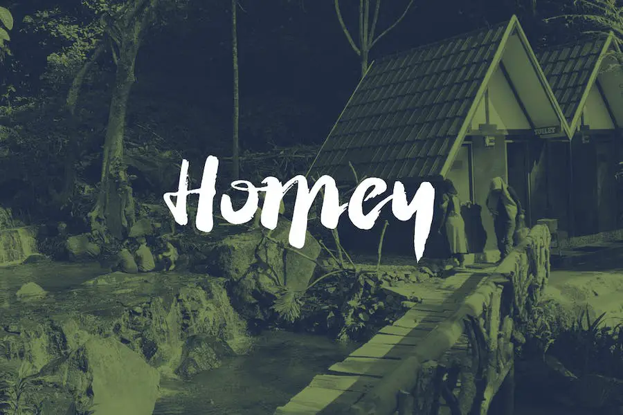Homey - 