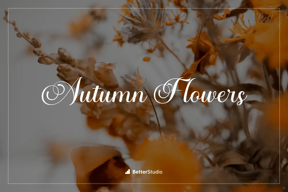 Autumn Flowers - 