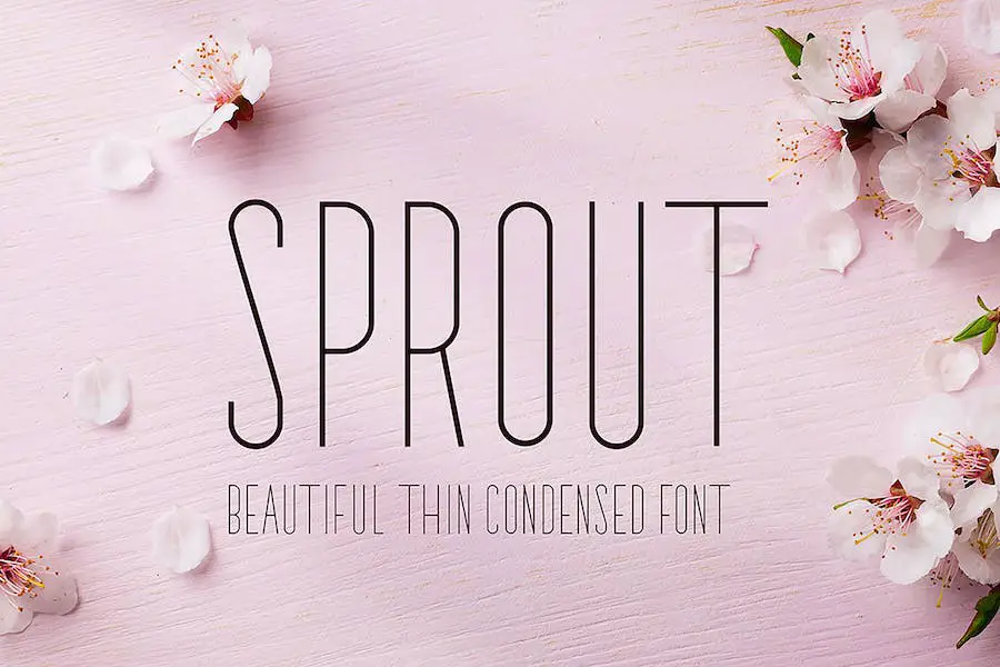 Sprout - 