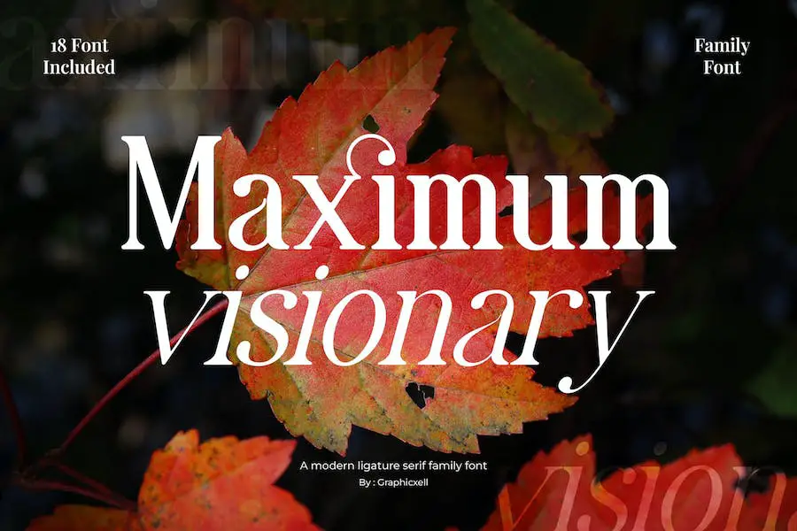 Maximum Visionary - 