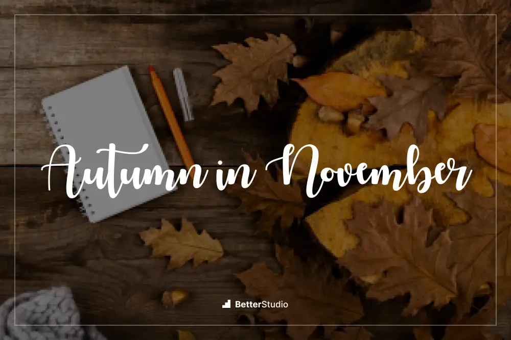 Autumn in November - 