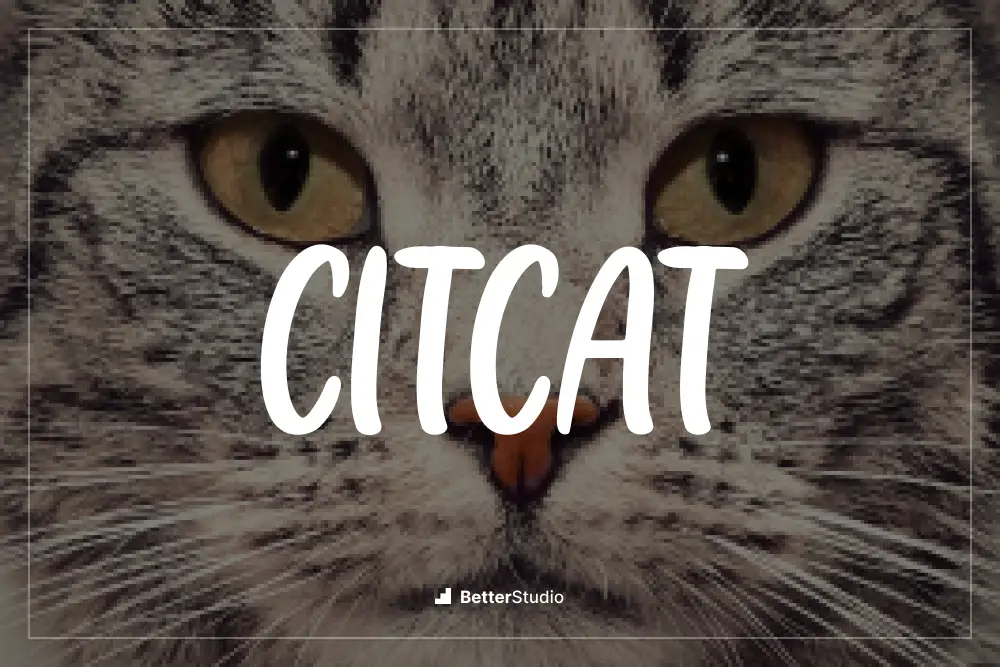Citcat - 